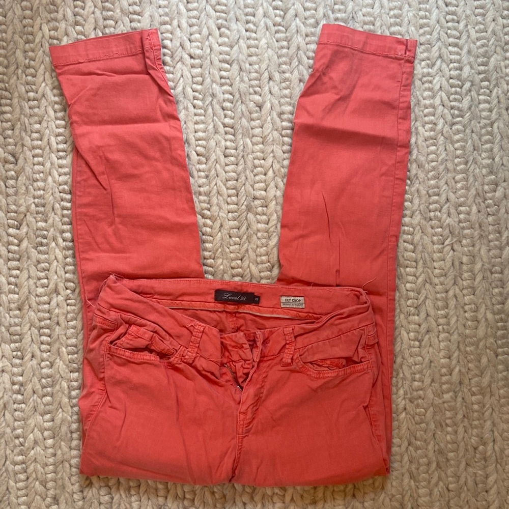 size 28 level 99